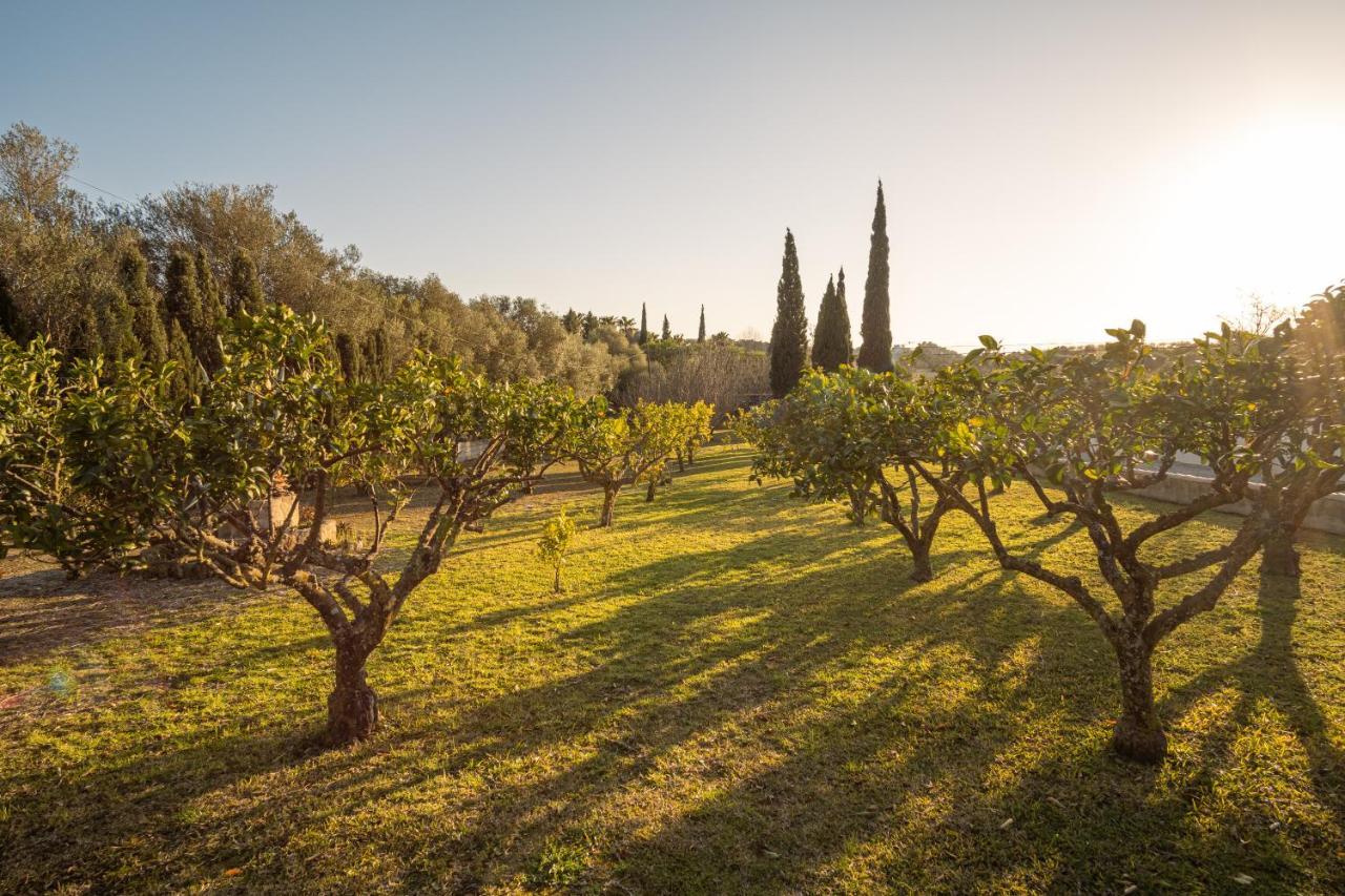Sant Joan Finca Montana מראה חיצוני תמונה